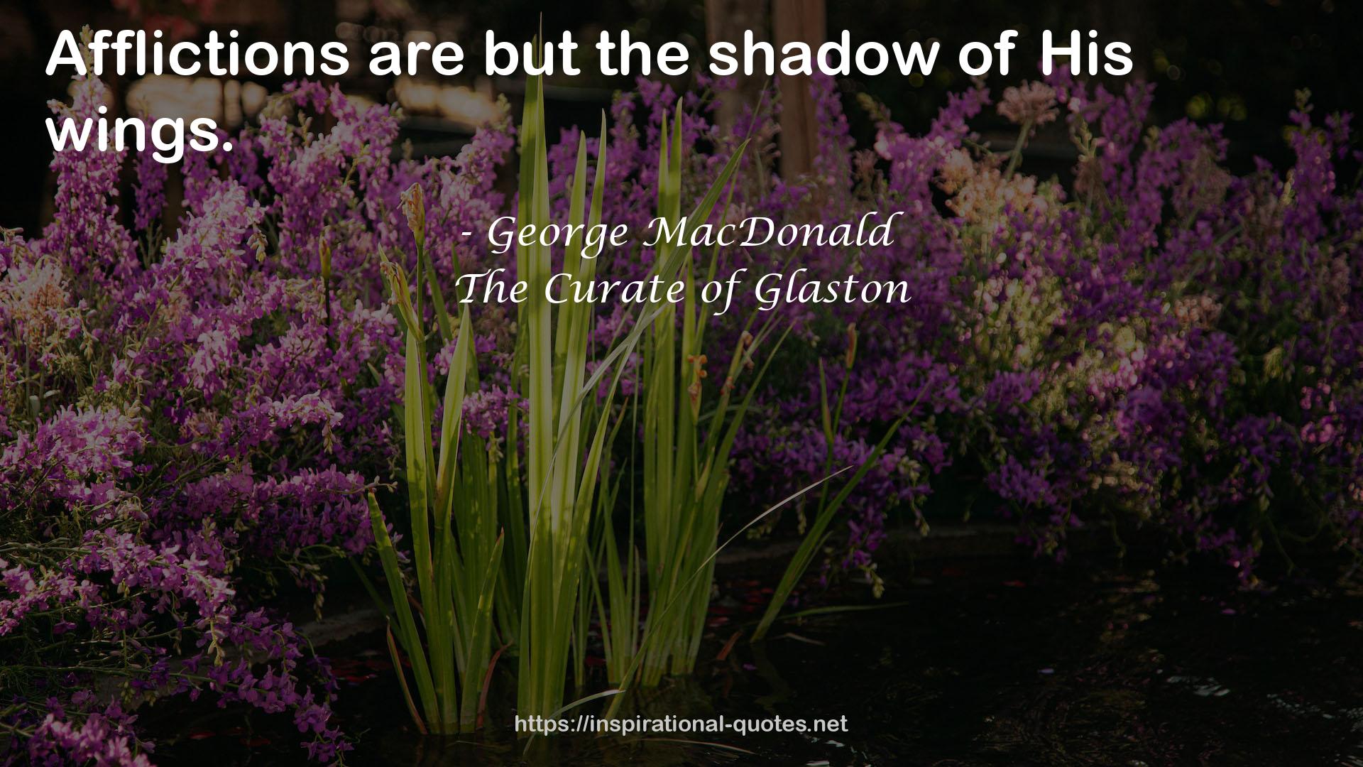 The Curate of Glaston QUOTES