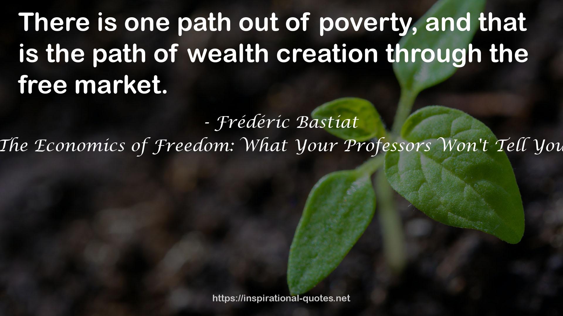 The Economics of Freedom: What Your Professors Won't Tell You QUOTES