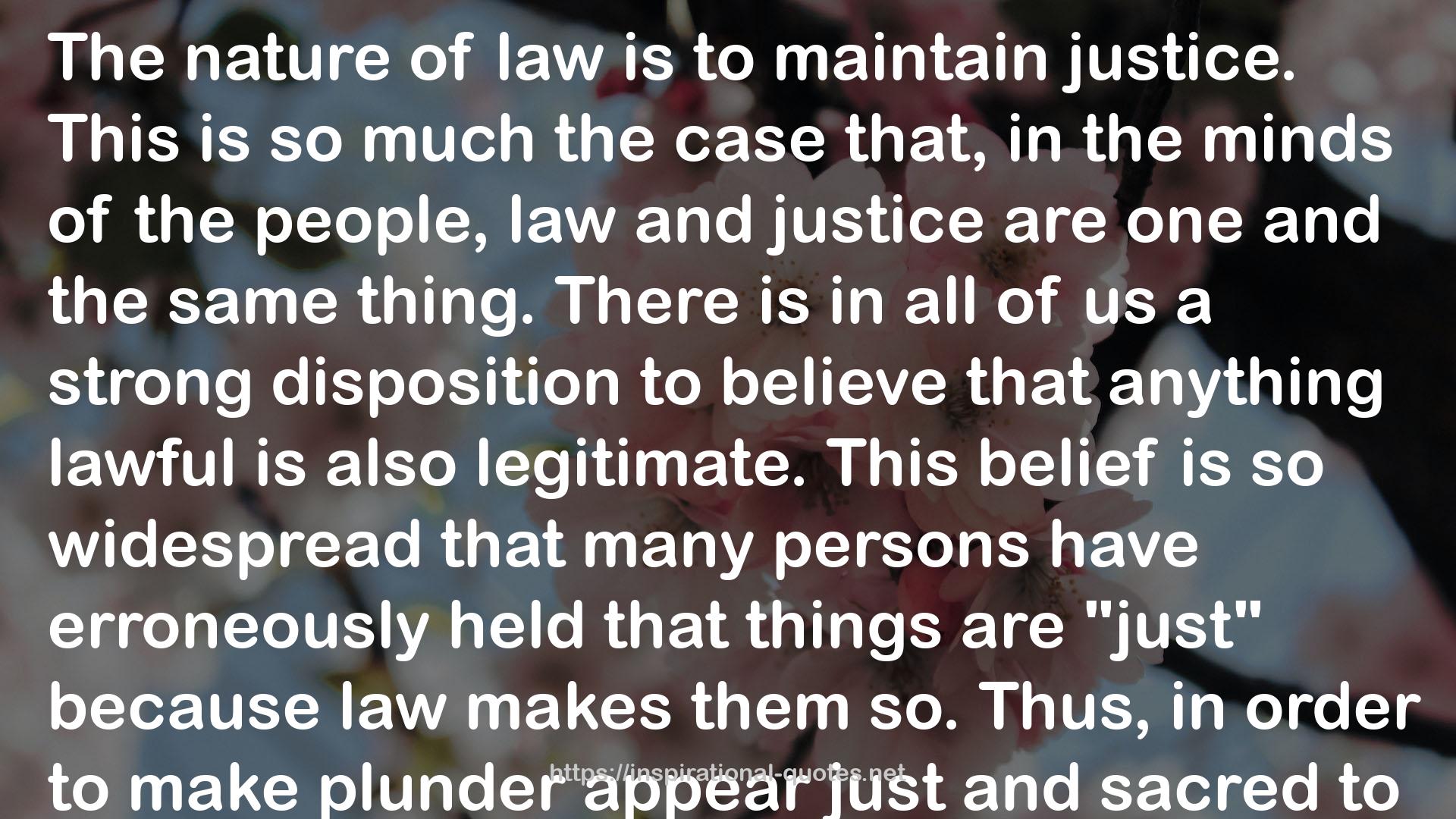 The Law QUOTES