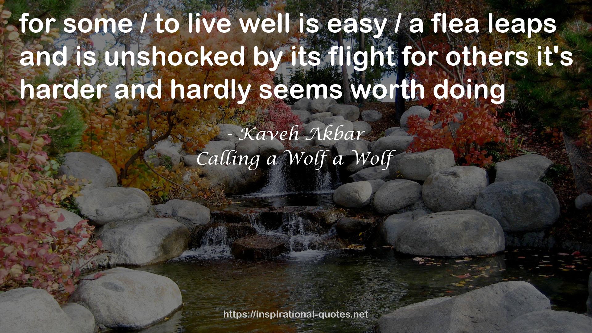 Calling a Wolf a Wolf QUOTES