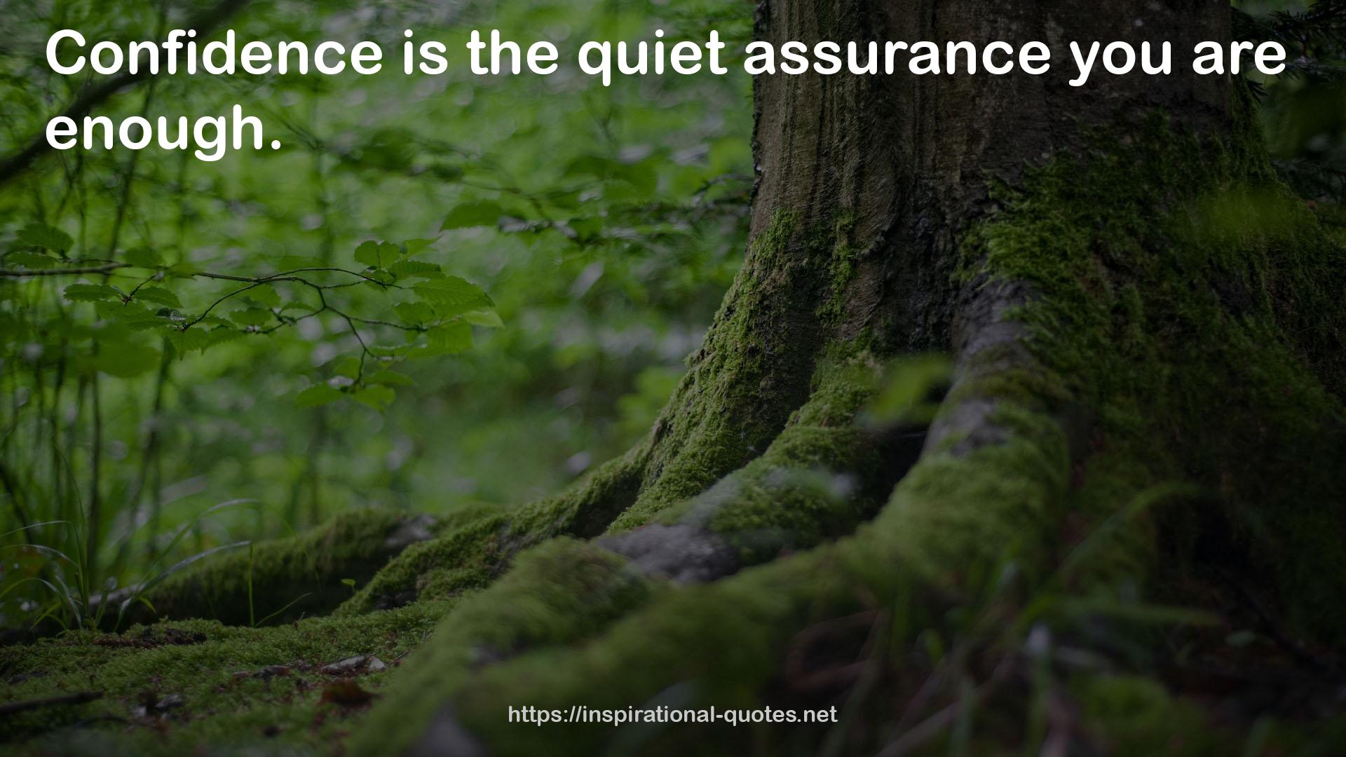 the quiet assurance  QUOTES