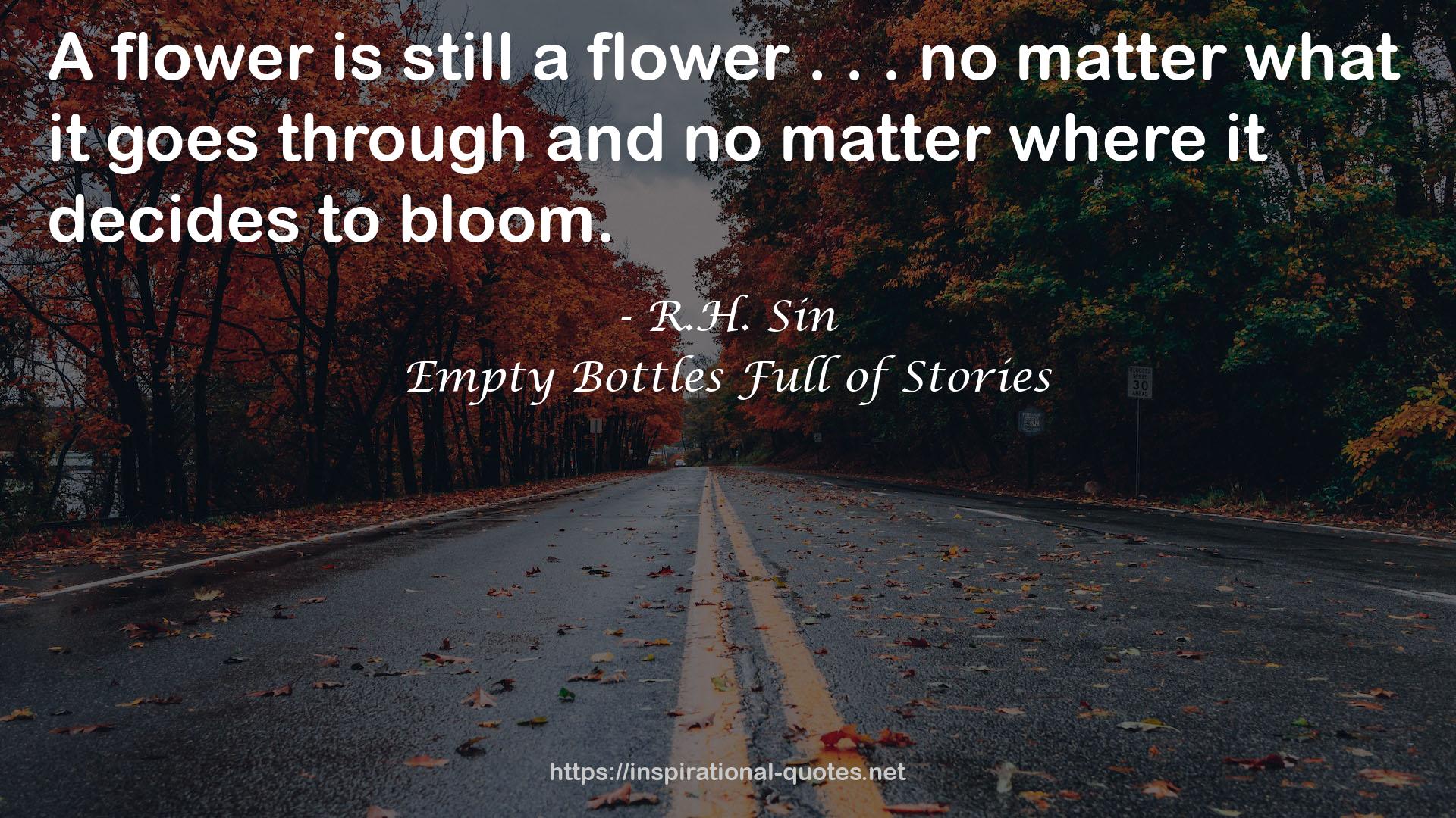 Empty Bottles Full of Stories QUOTES