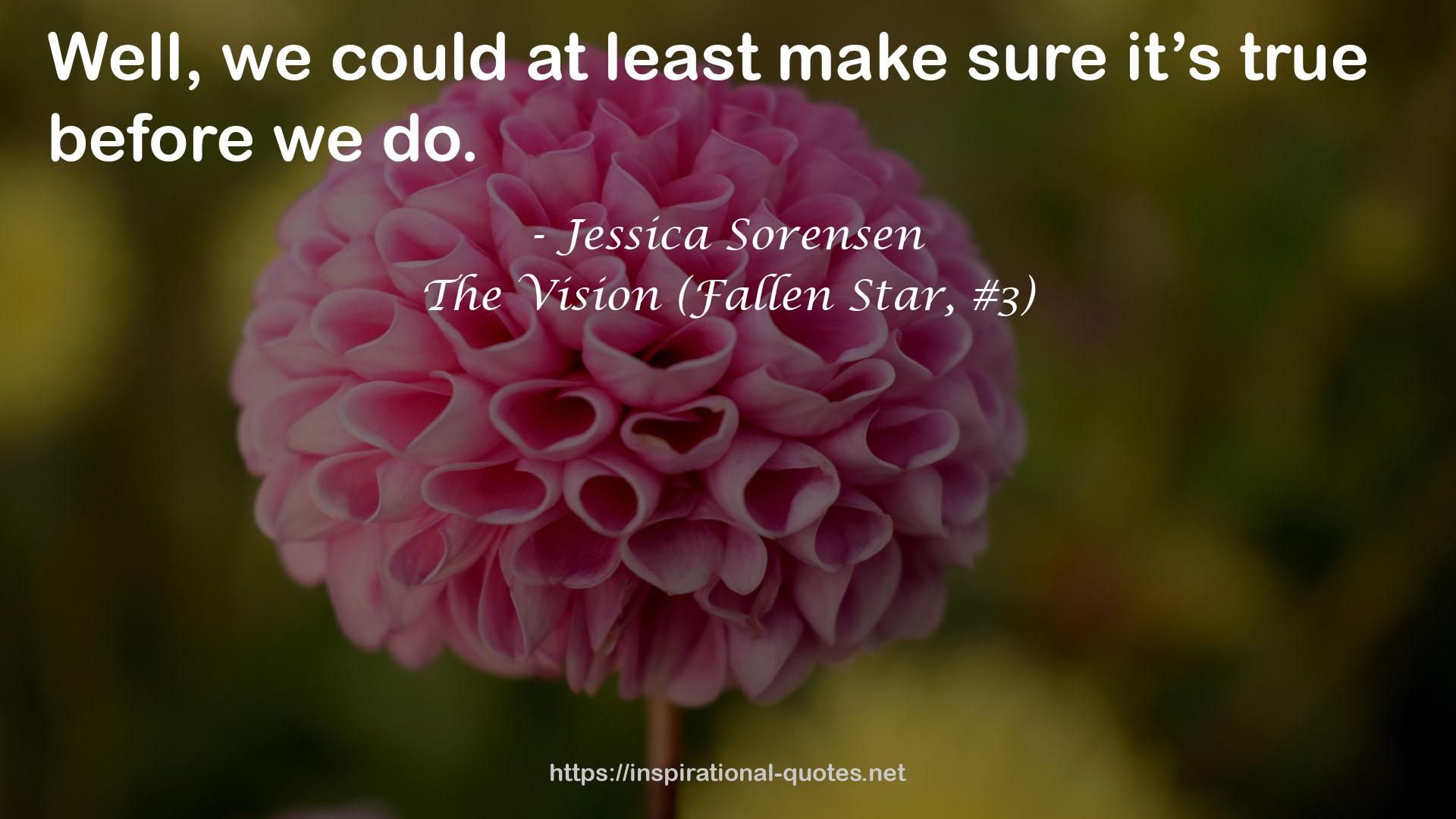 The Vision (Fallen Star, #3) QUOTES