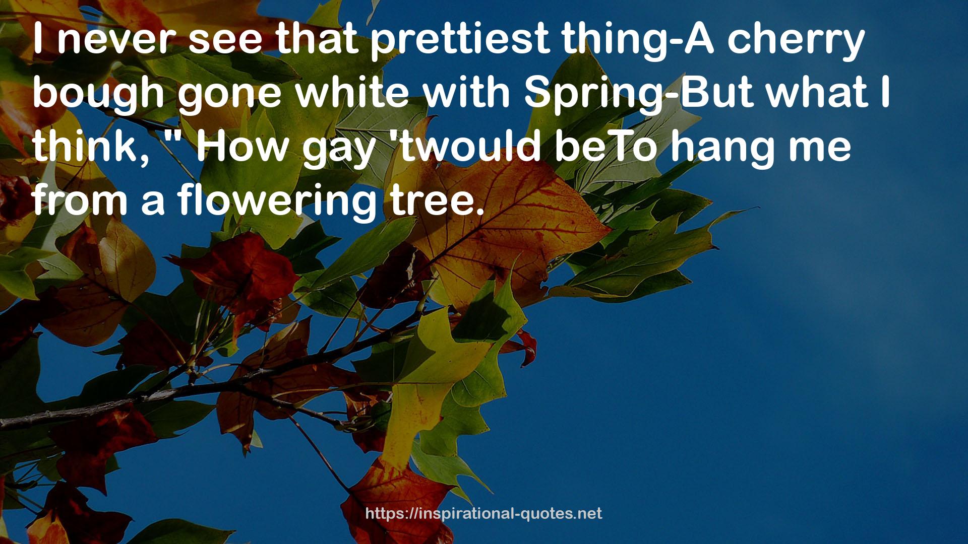 that prettiest thing-A cherry bough  QUOTES