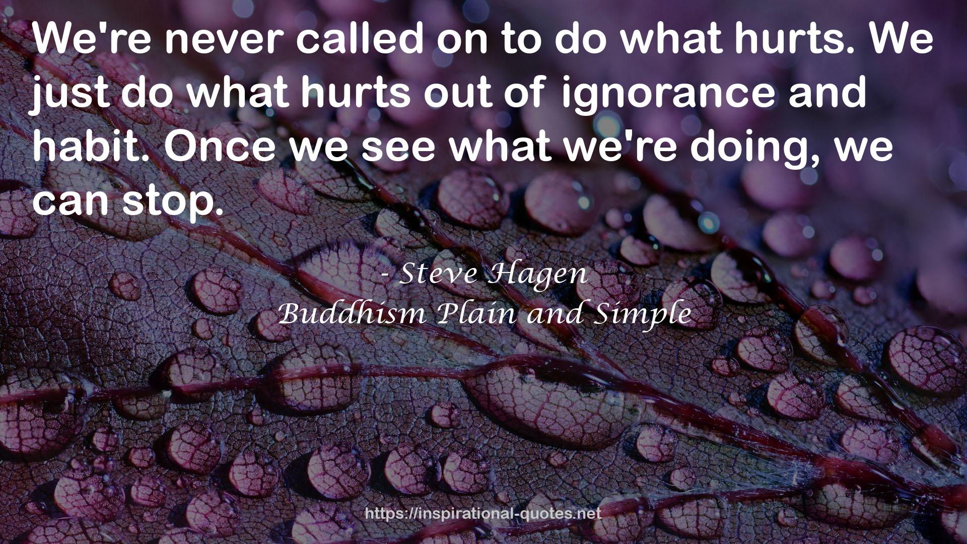 Steve Hagen QUOTES