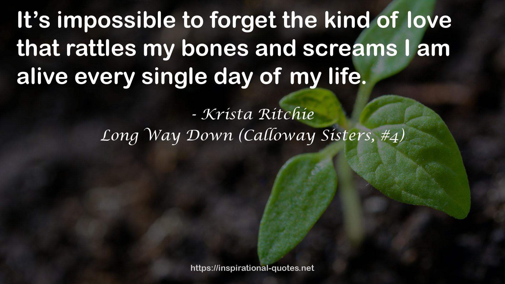 Long Way Down (Calloway Sisters, #4) QUOTES