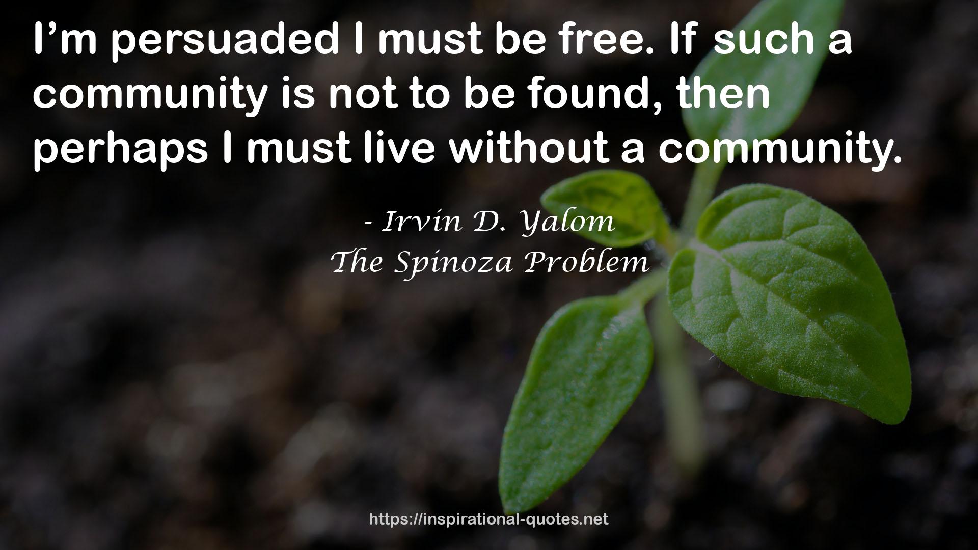 The Spinoza Problem QUOTES