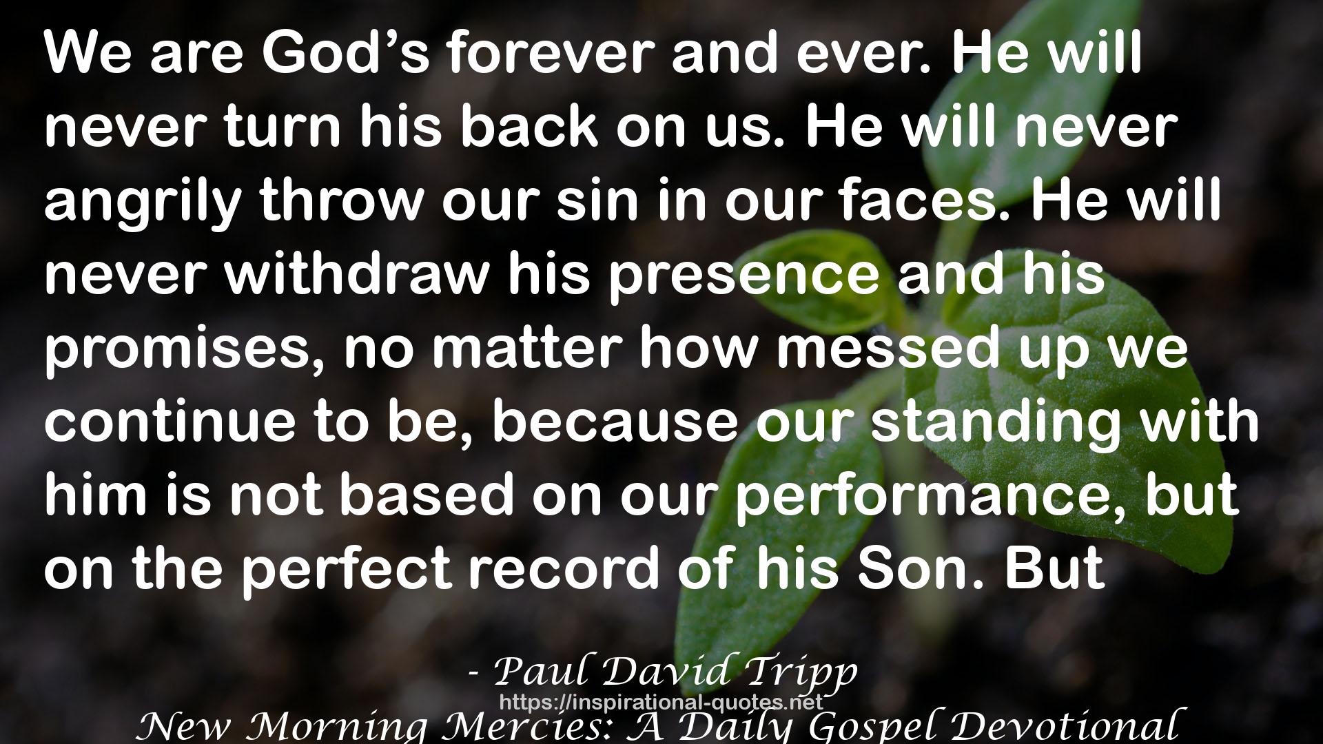 New Morning Mercies: A Daily Gospel Devotional QUOTES