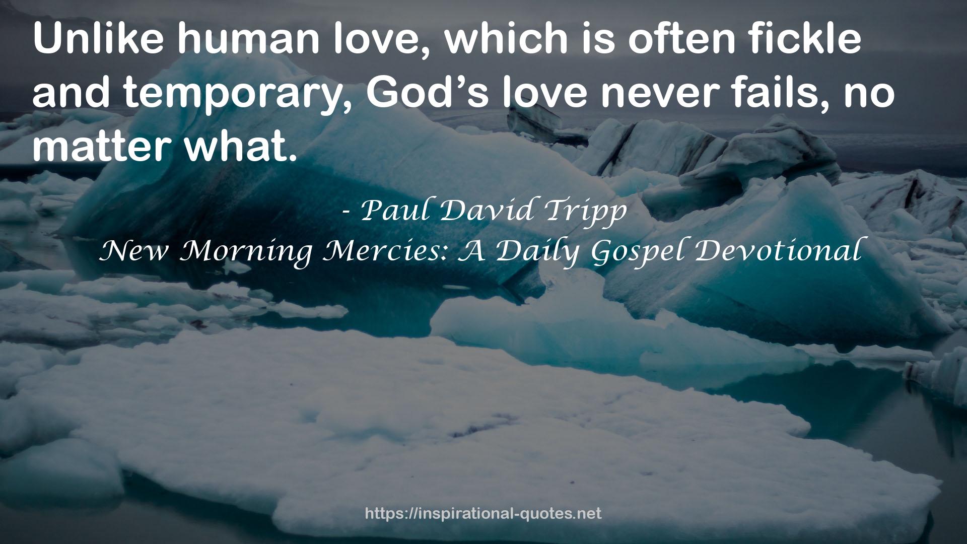 New Morning Mercies: A Daily Gospel Devotional QUOTES