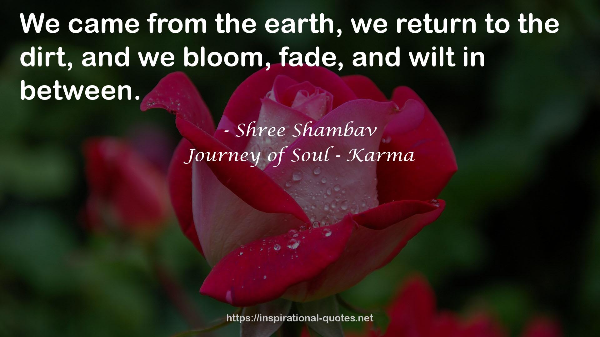 Journey of Soul - Karma QUOTES