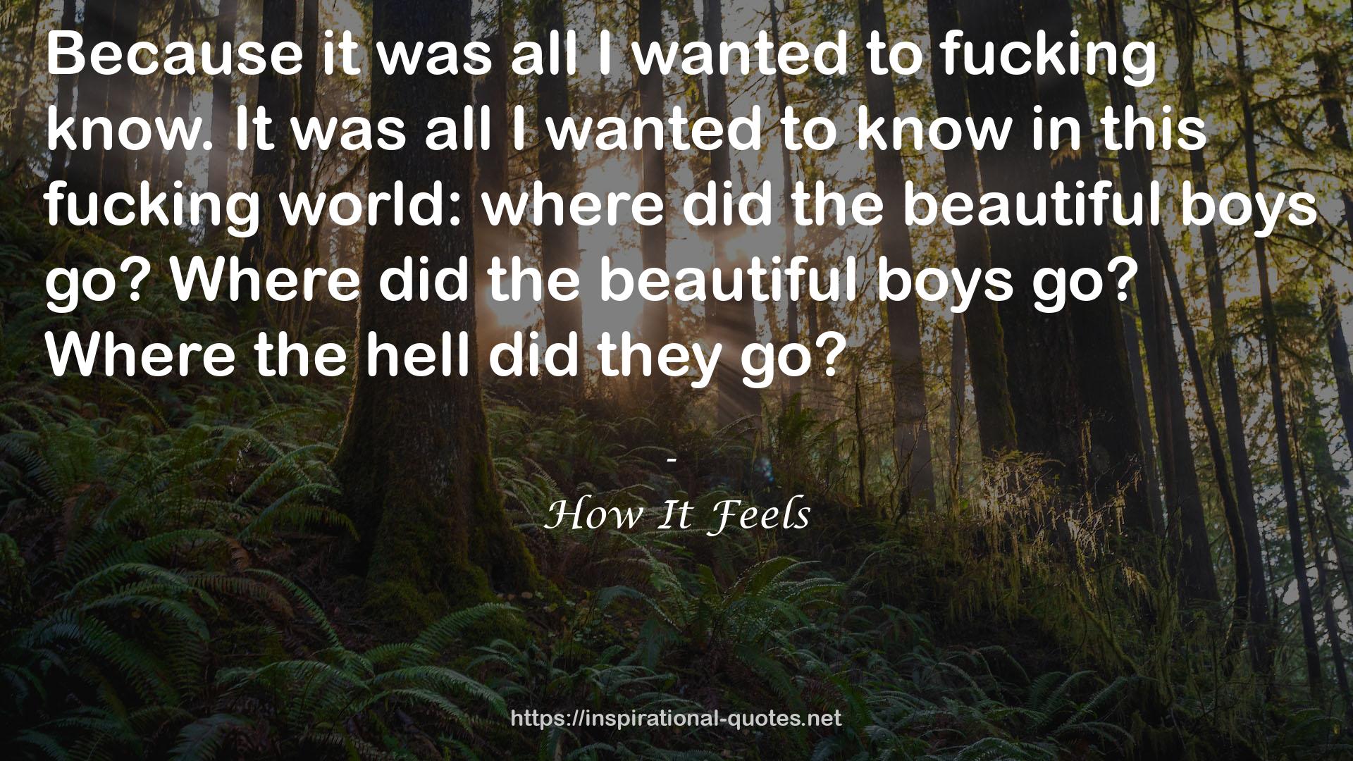 the beautiful boys  QUOTES