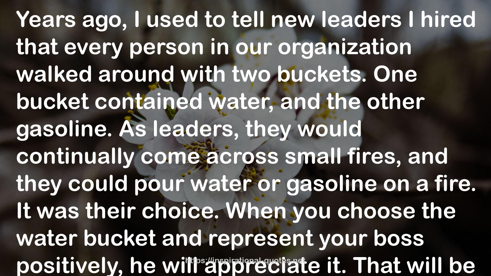 How to Lead When Your Boss Can't (or Won't) QUOTES