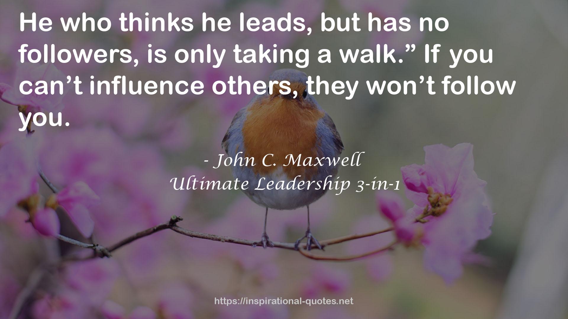 Ultimate Leadership 3-in-1 QUOTES