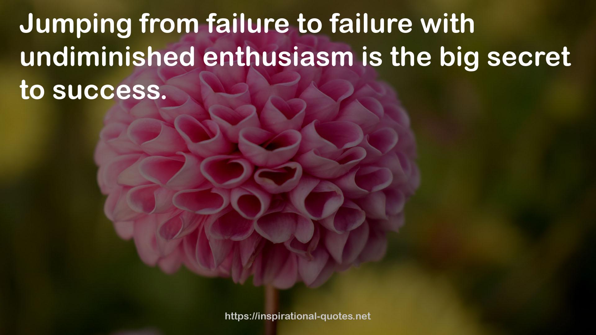 undiminished enthusiasm  QUOTES