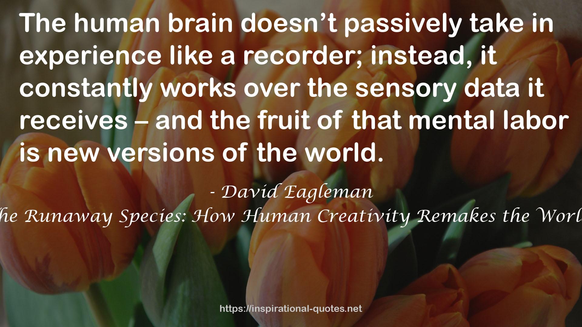 The Runaway Species: How Human Creativity Remakes the World QUOTES