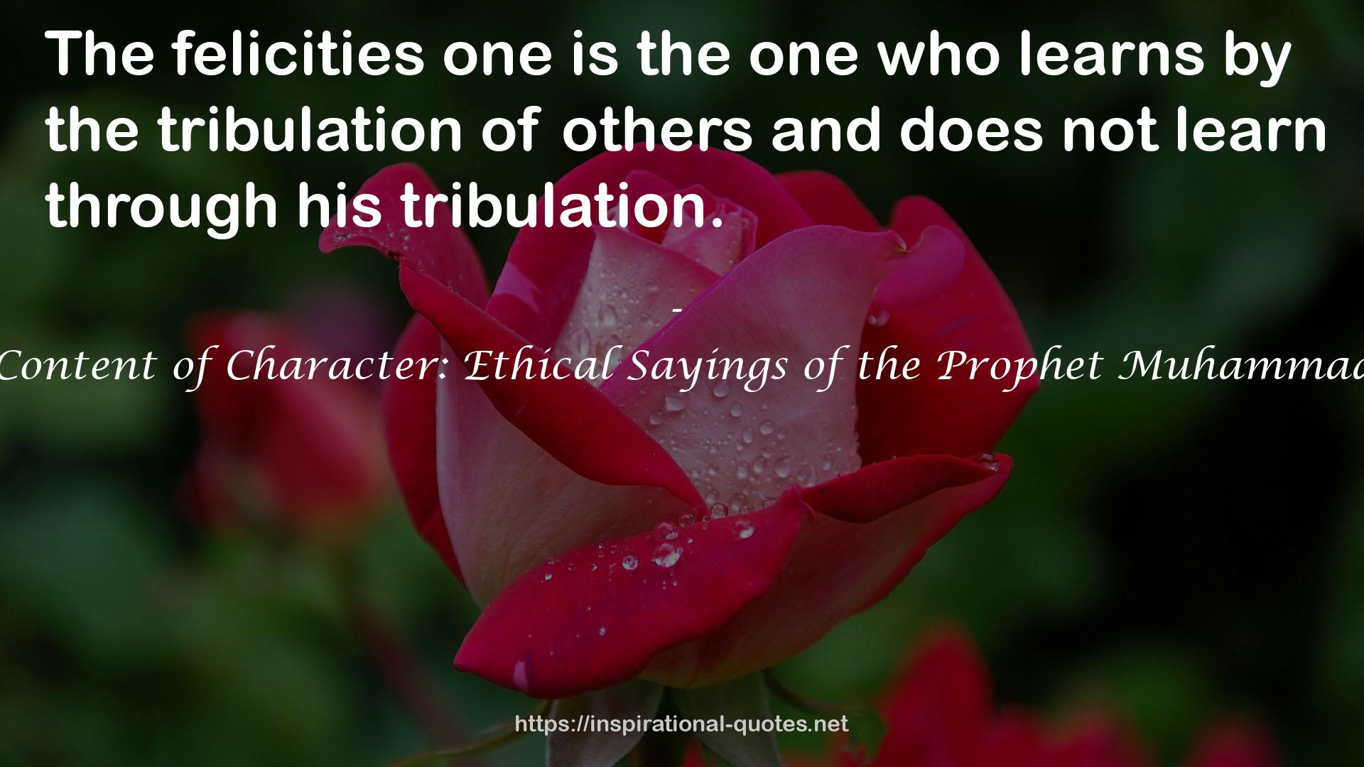 The Content of Character: Ethical Sayings of the Prophet Muhammad (sa) QUOTES