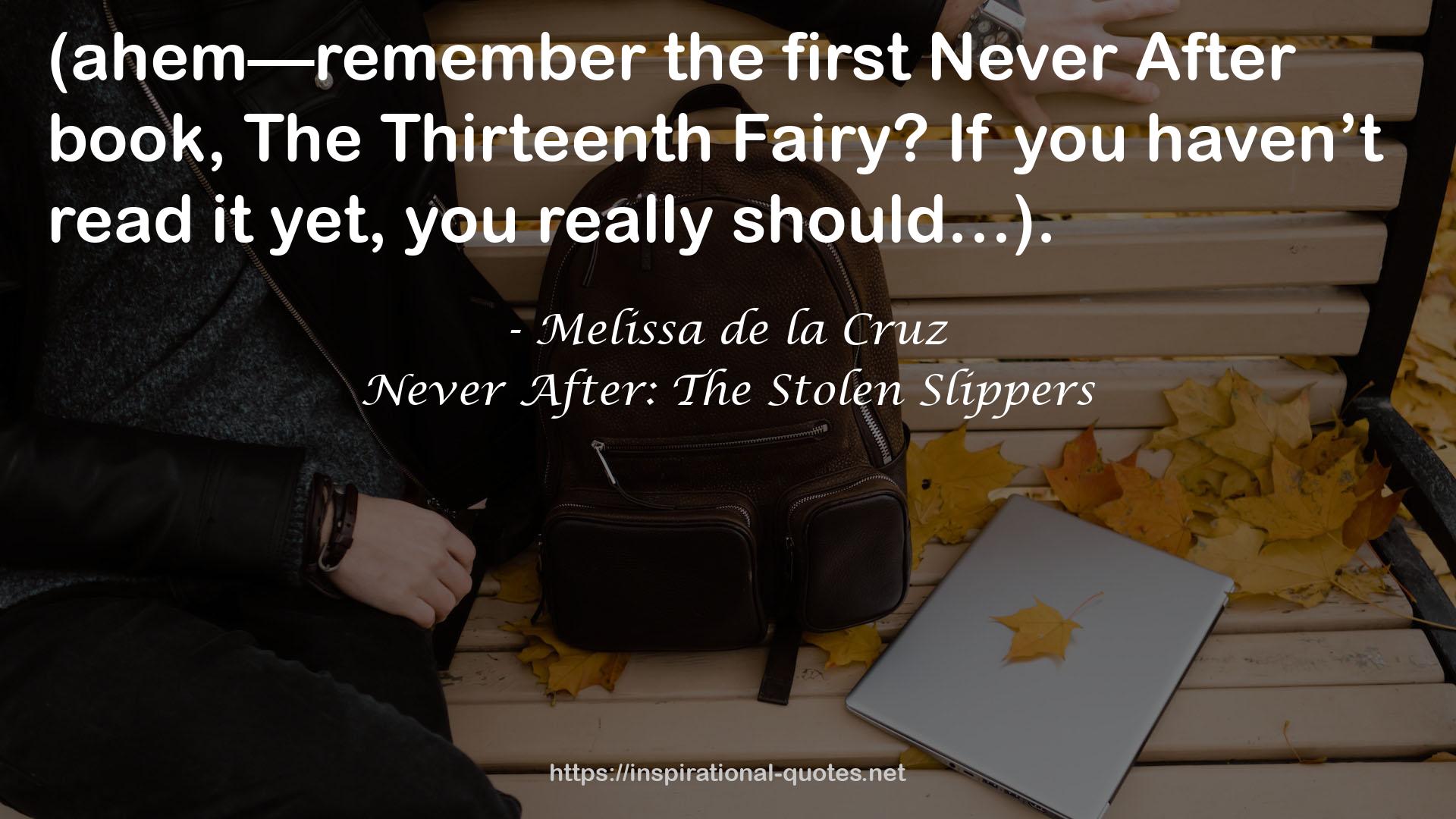 Never After: The Stolen Slippers QUOTES