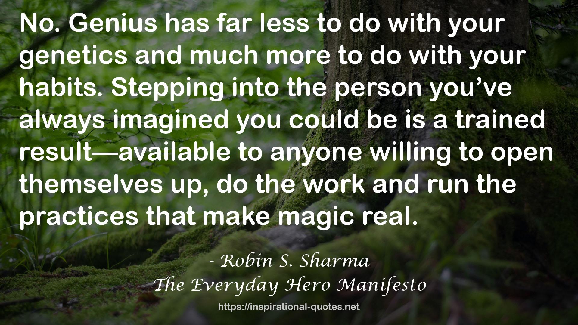 The Everyday Hero Manifesto QUOTES