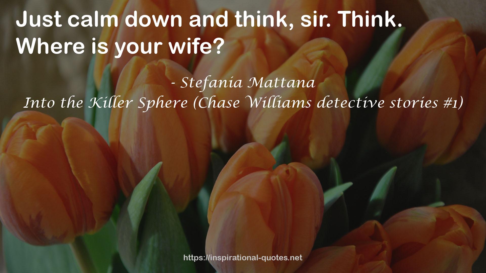 Into the Killer Sphere (Chase Williams detective stories #1) QUOTES