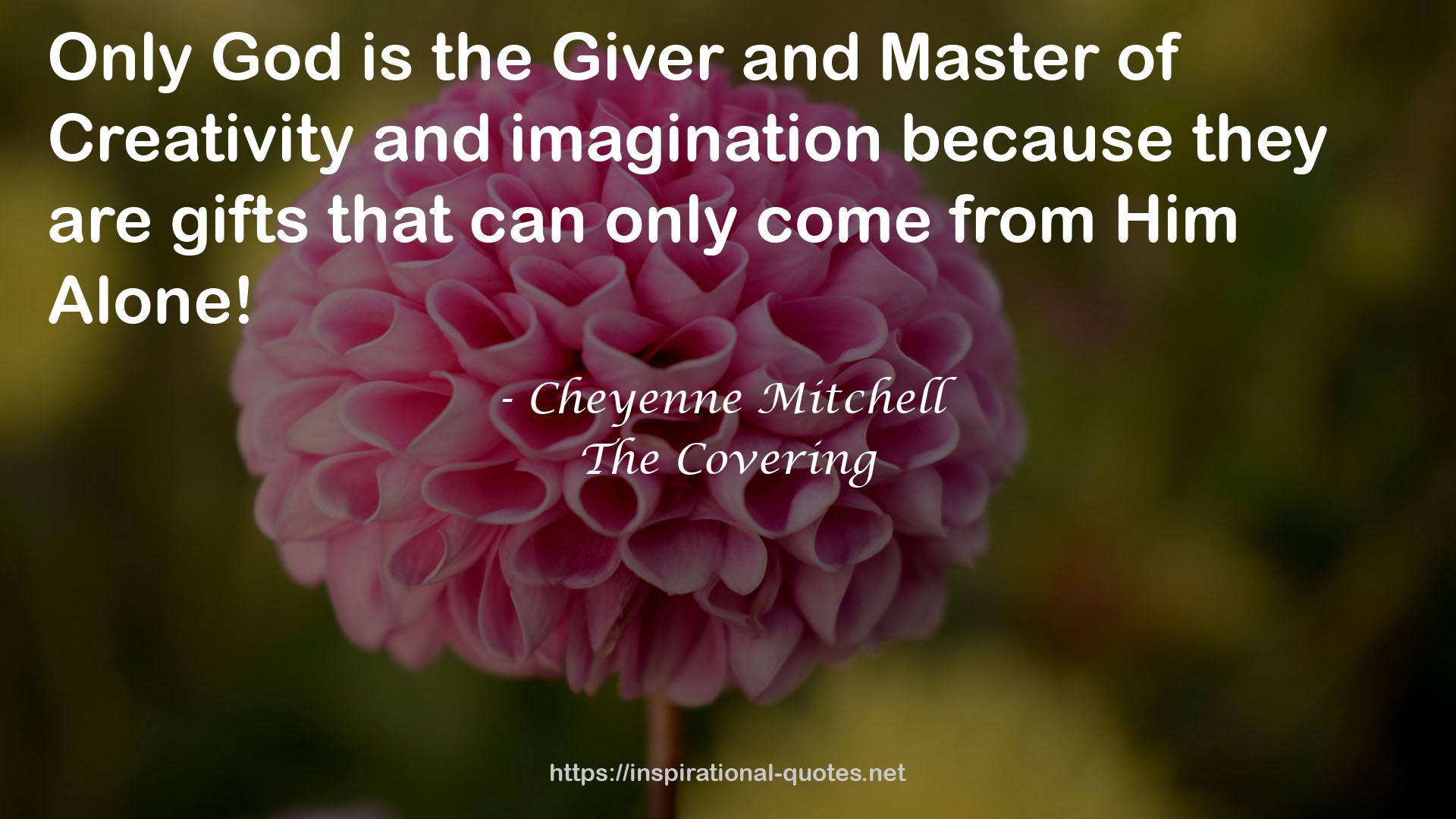 Cheyenne Mitchell QUOTES