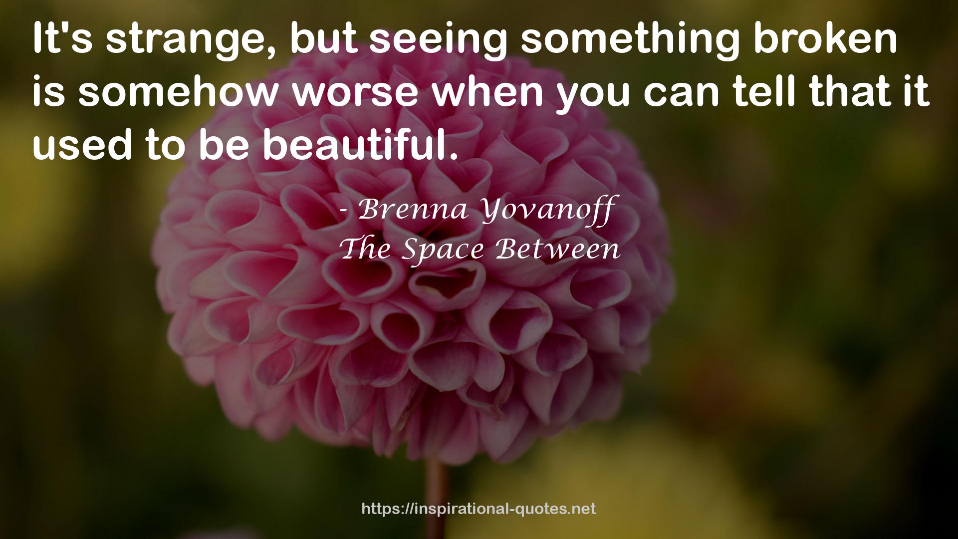 Brenna Yovanoff QUOTES