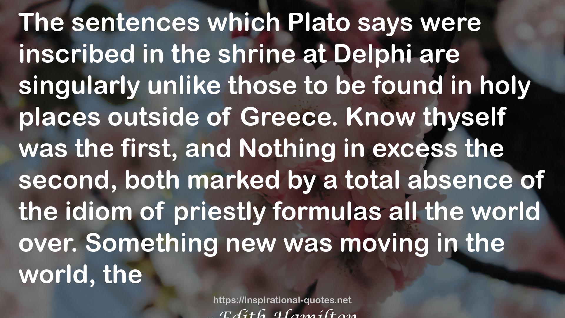 The Greek Way QUOTES