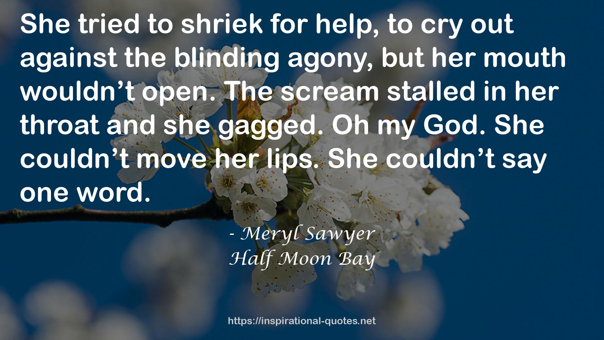 Meryl Sawyer QUOTES