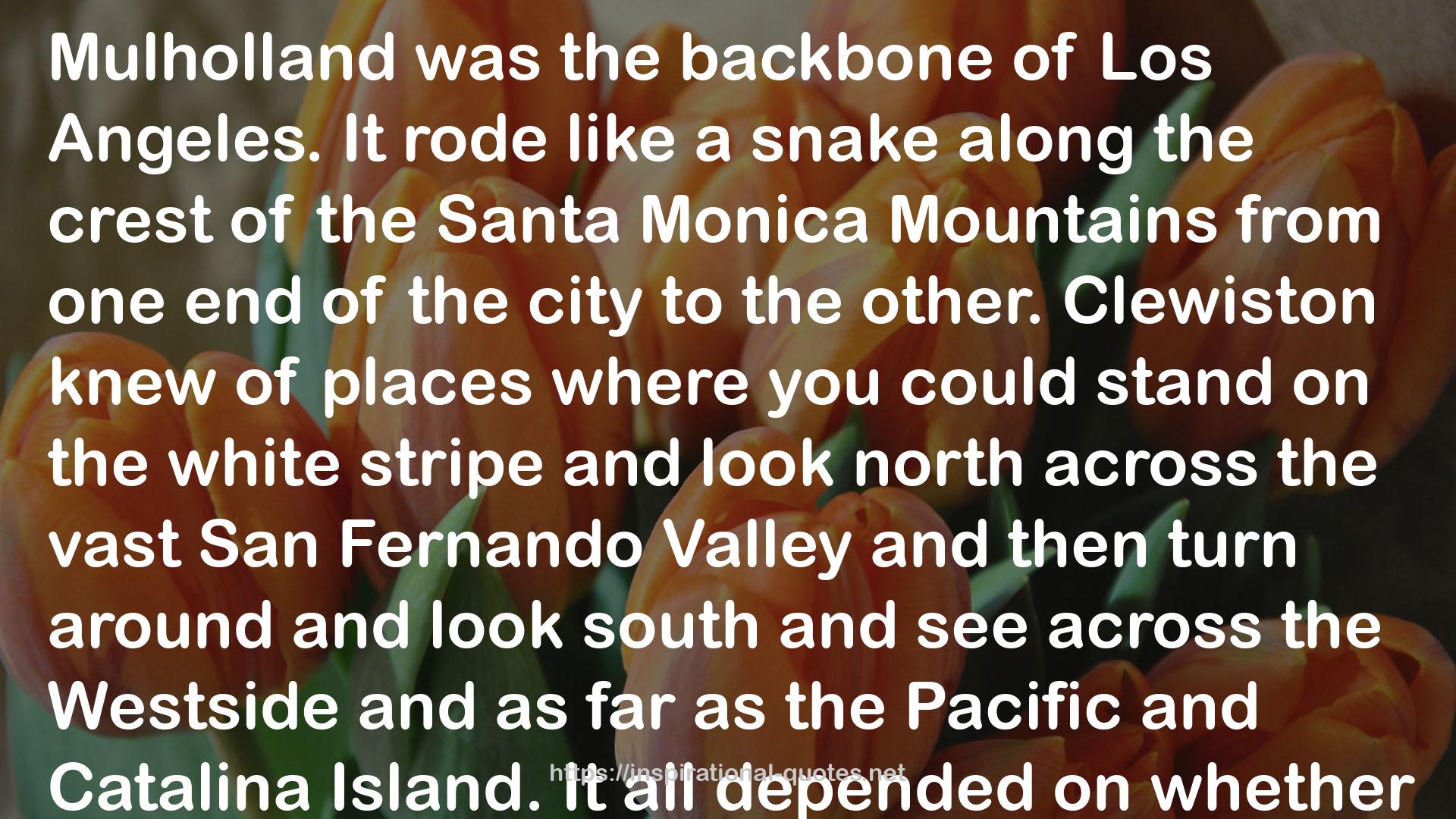 Mulholland Dive QUOTES