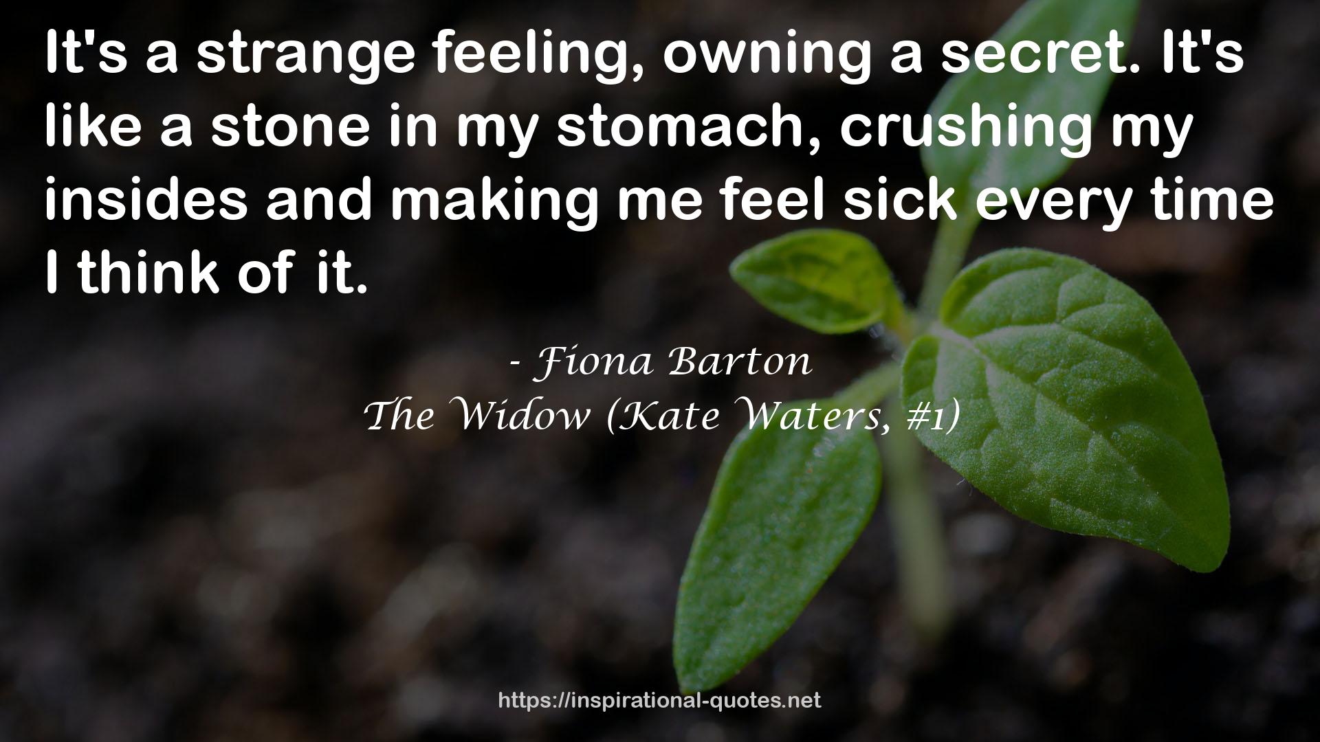 Fiona Barton QUOTES