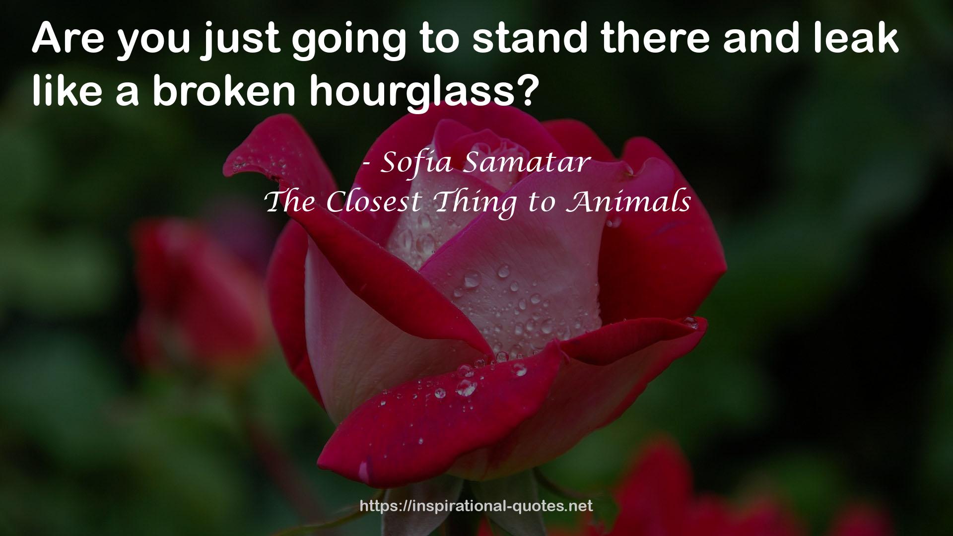 The Closest Thing to Animals QUOTES
