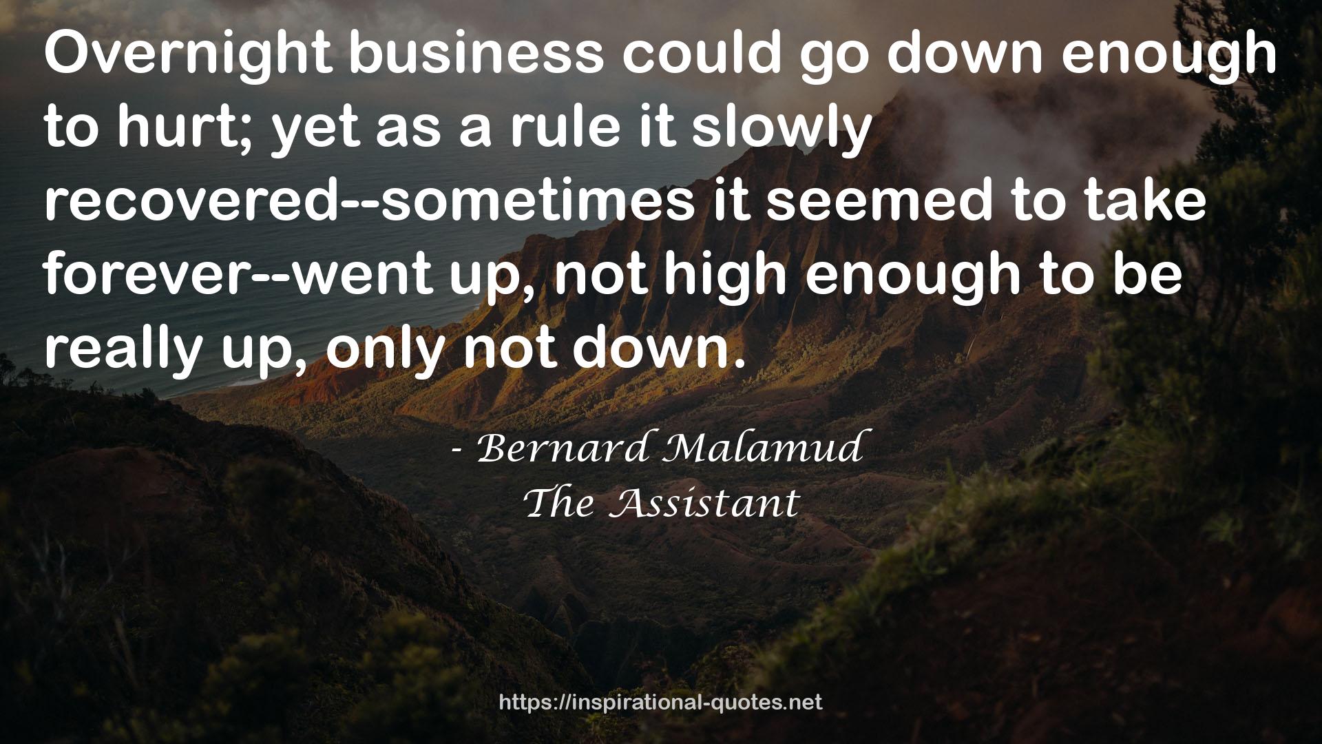 Bernard Malamud QUOTES