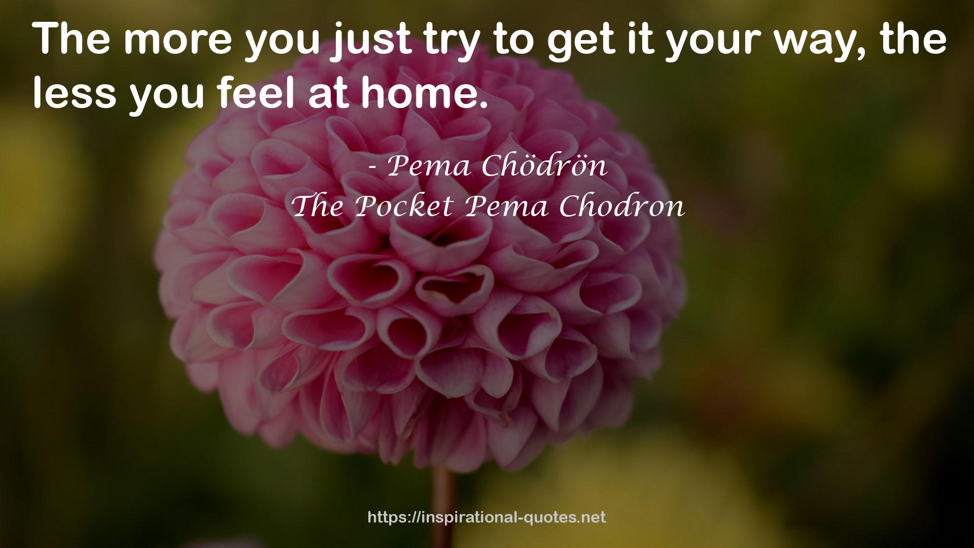 The Pocket Pema Chodron QUOTES