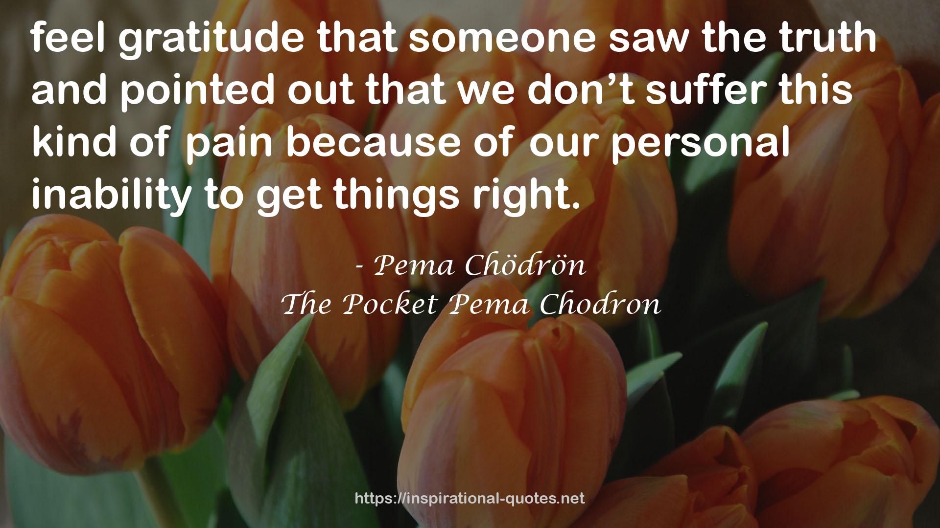 The Pocket Pema Chodron QUOTES