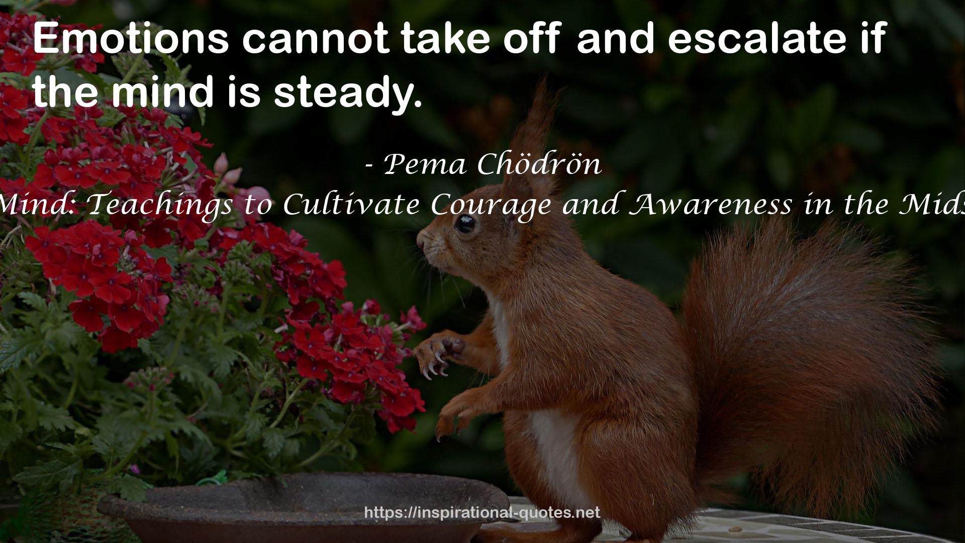 Bodhisattva Mind: Teachings to Cultivate Courage and Awareness in the Midst of Suffering QUOTES