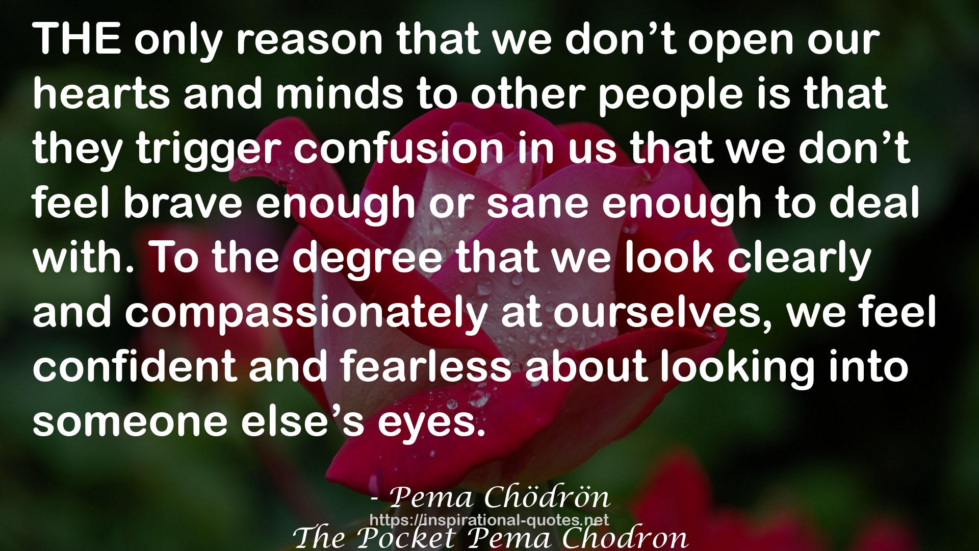 The Pocket Pema Chodron QUOTES