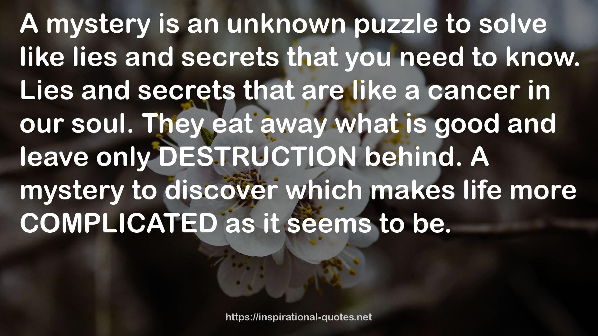 an unknown puzzle  QUOTES