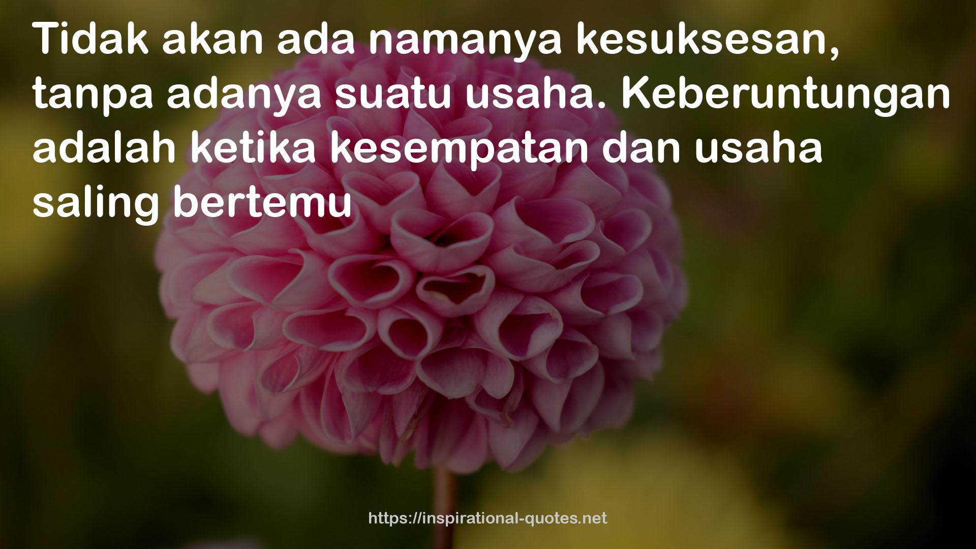 ada  QUOTES