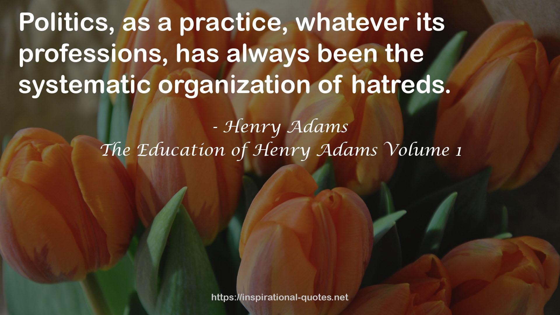 The Education of Henry Adams Volume 1 QUOTES