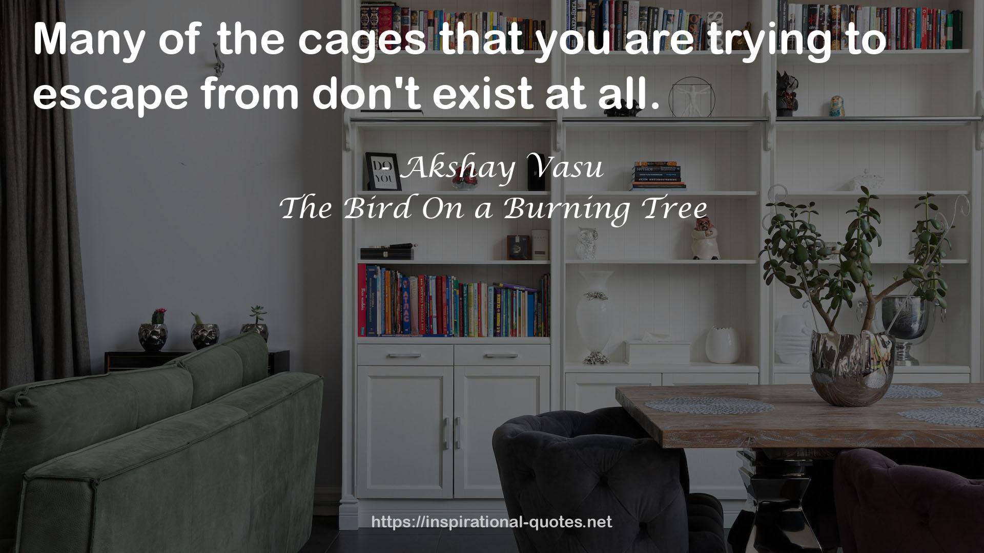 The Bird On a Burning Tree QUOTES