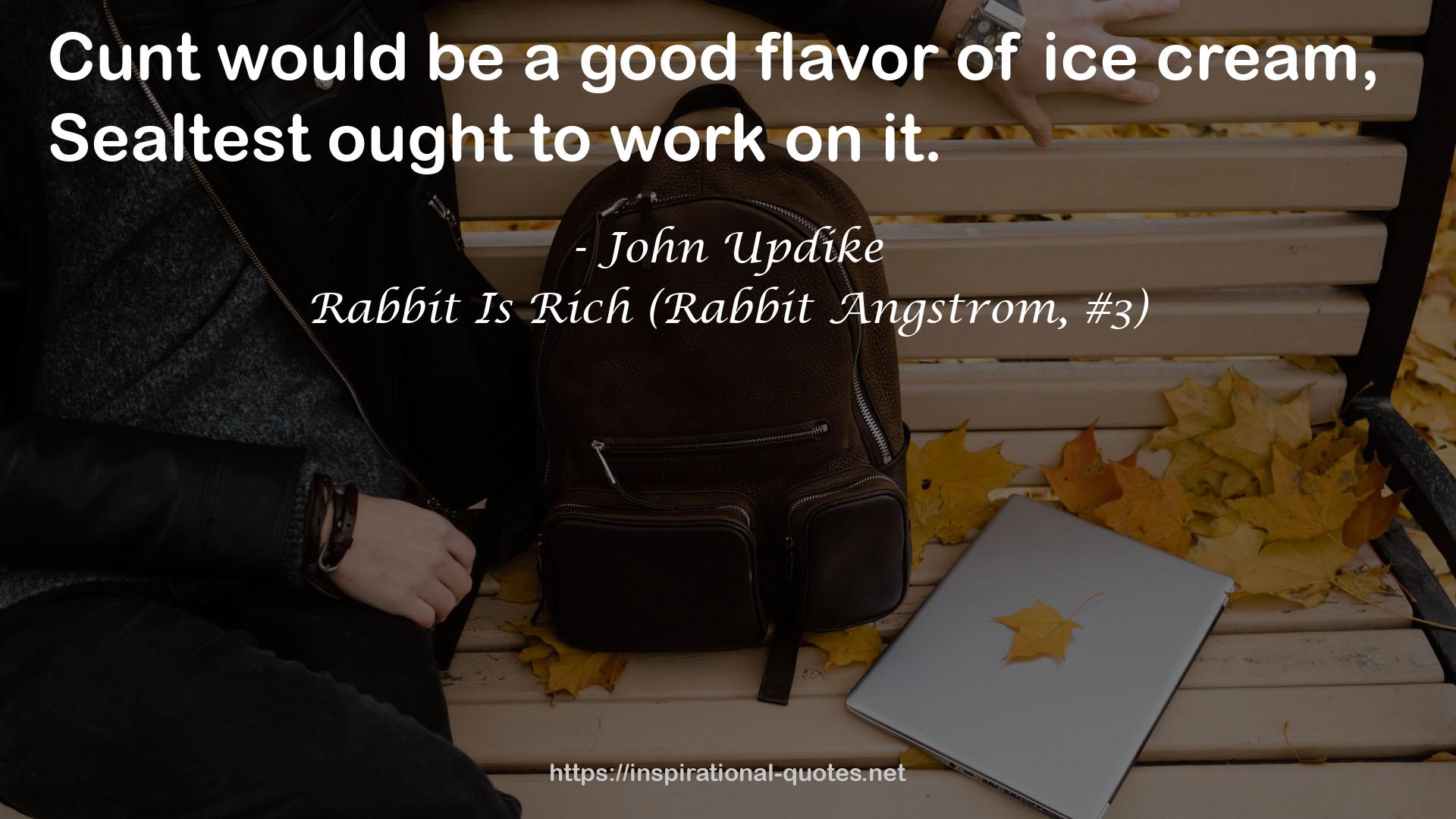 Rabbit Is Rich (Rabbit Angstrom, #3) QUOTES