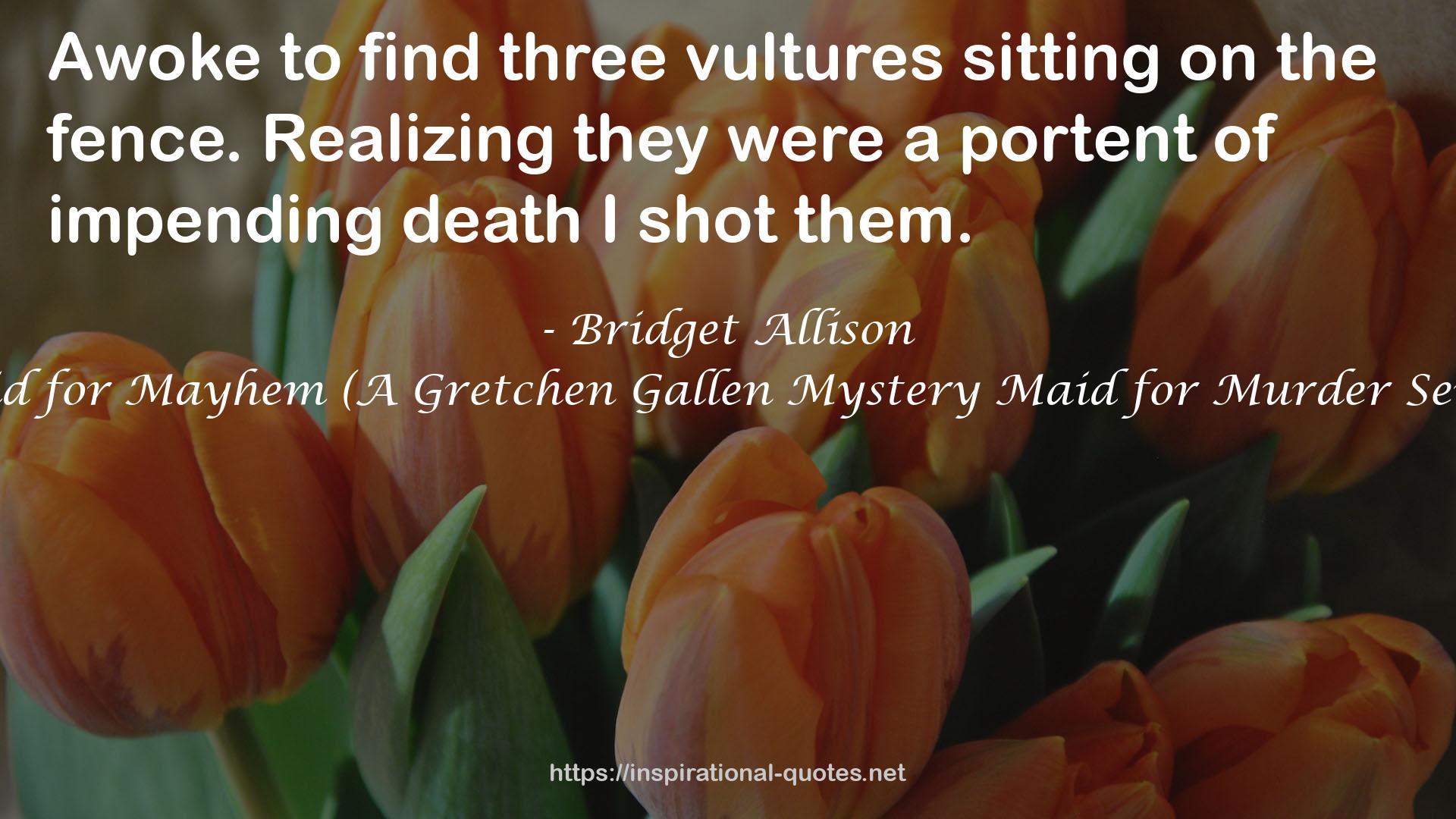 Maid for Mayhem (A Gretchen Gallen Mystery Maid for Murder Series) QUOTES