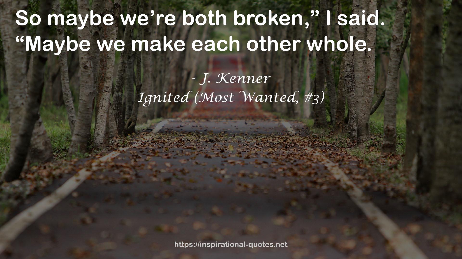 Ignited (Most Wanted, #3) QUOTES