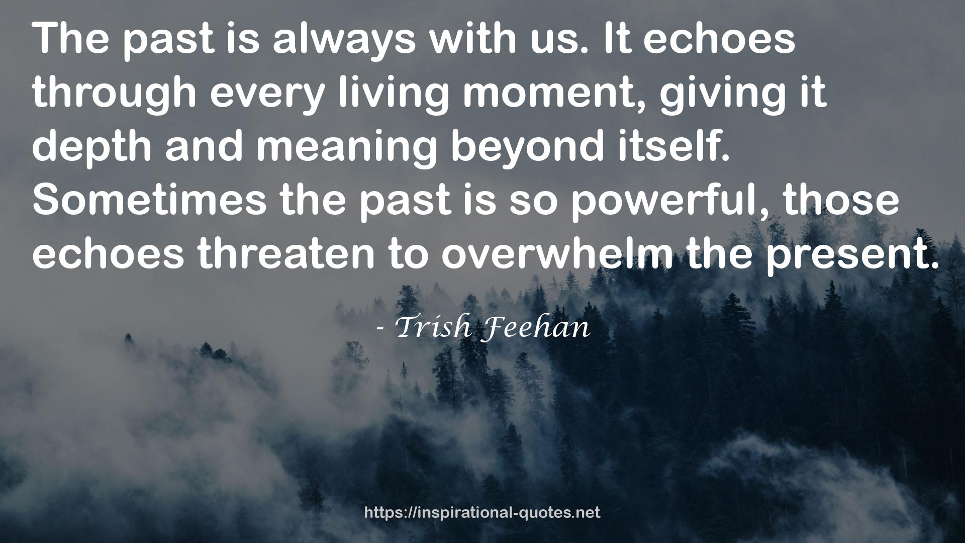 Trish Feehan QUOTES