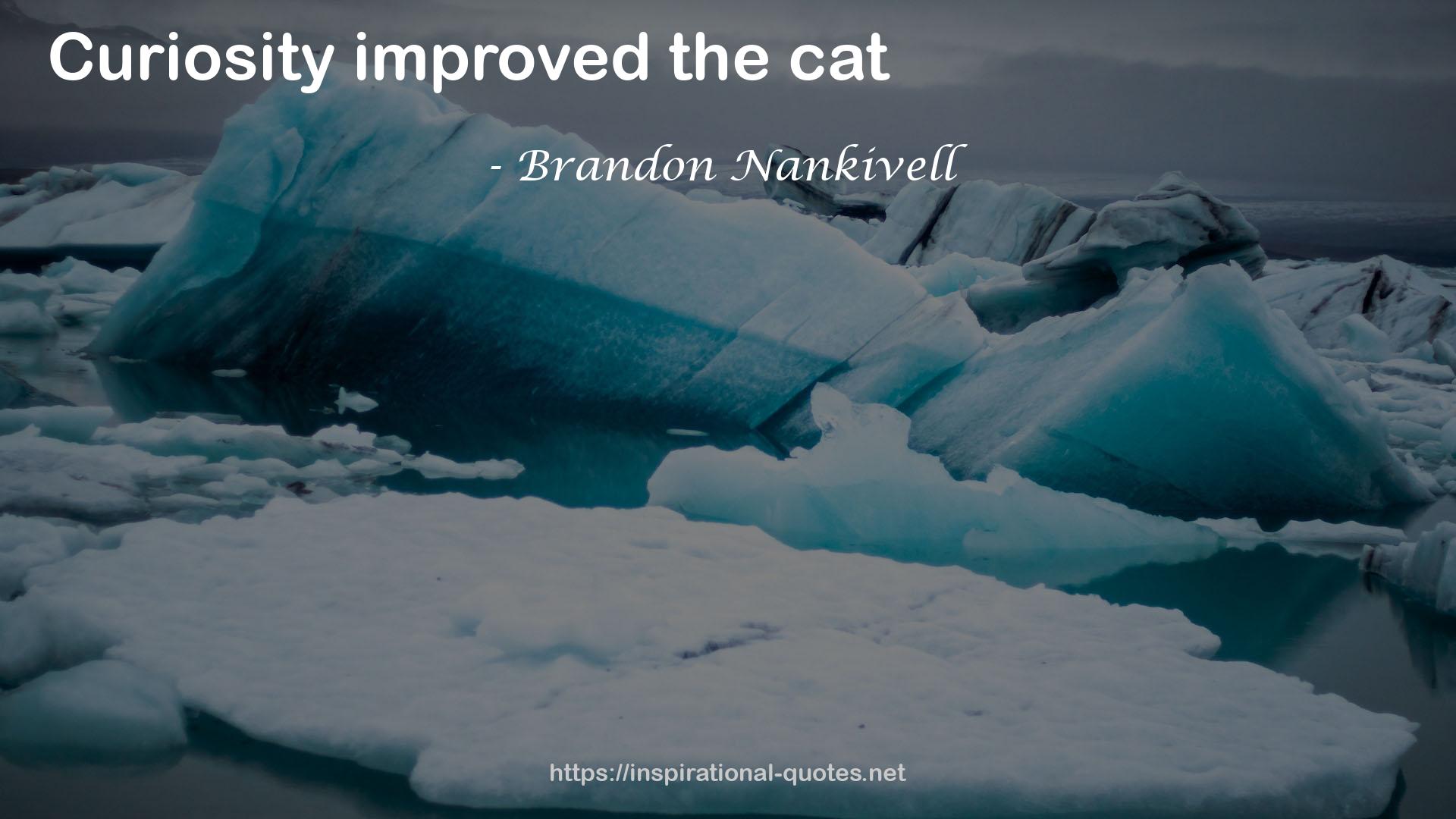 Brandon Nankivell QUOTES