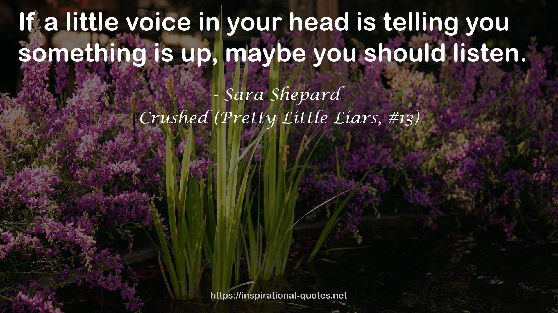 Crushed (Pretty Little Liars, #13) QUOTES