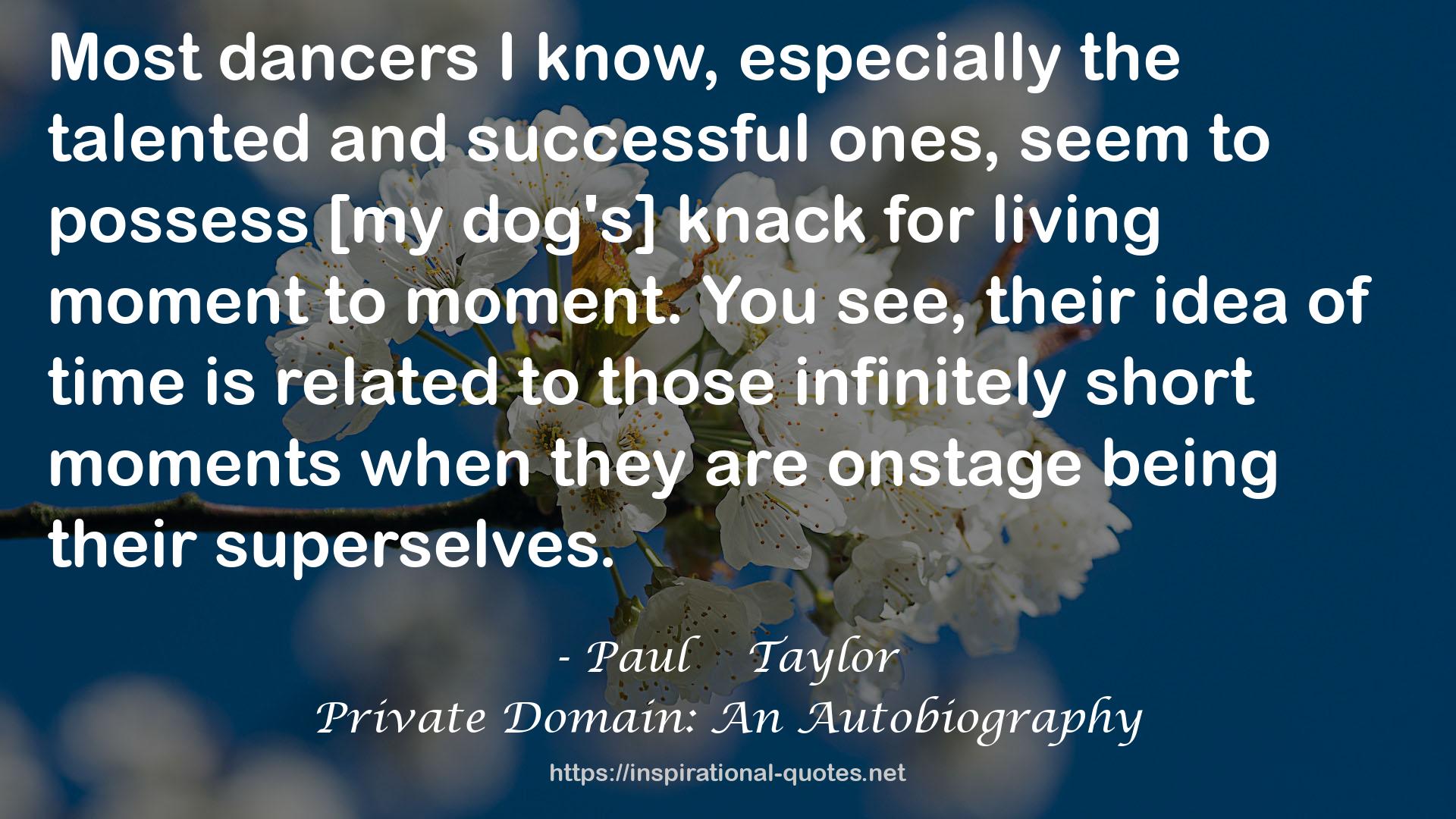 Paul    Taylor QUOTES