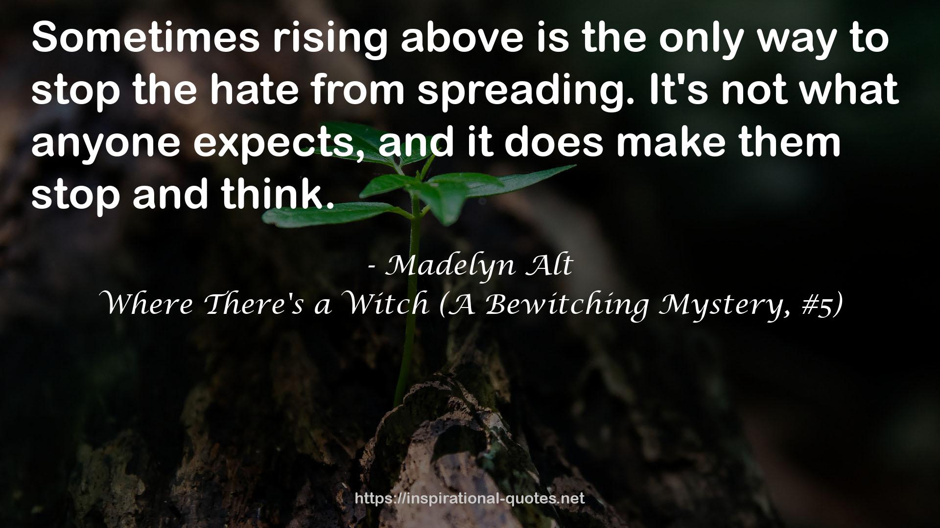 Where There's a Witch (A Bewitching Mystery, #5) QUOTES