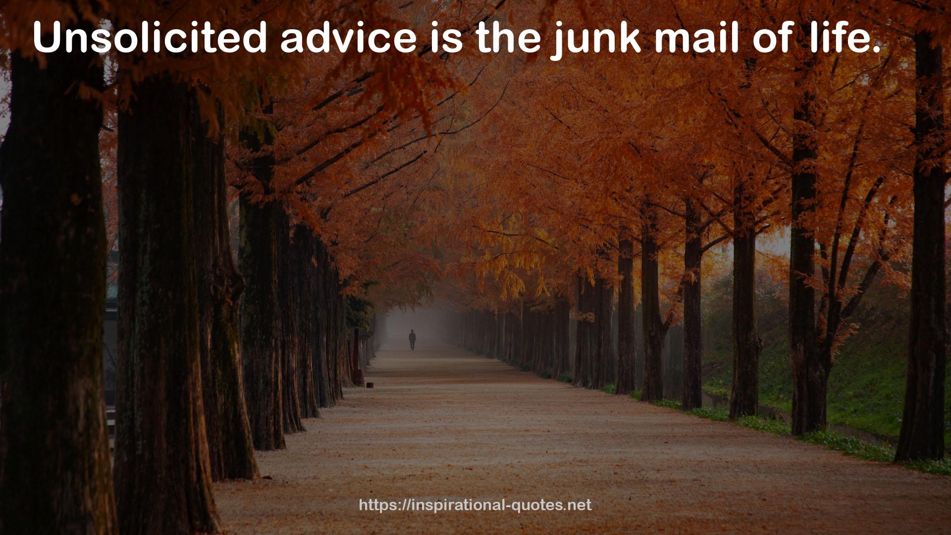 the junk mail  QUOTES