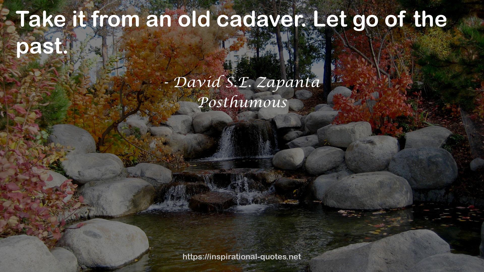 David S.E. Zapanta QUOTES