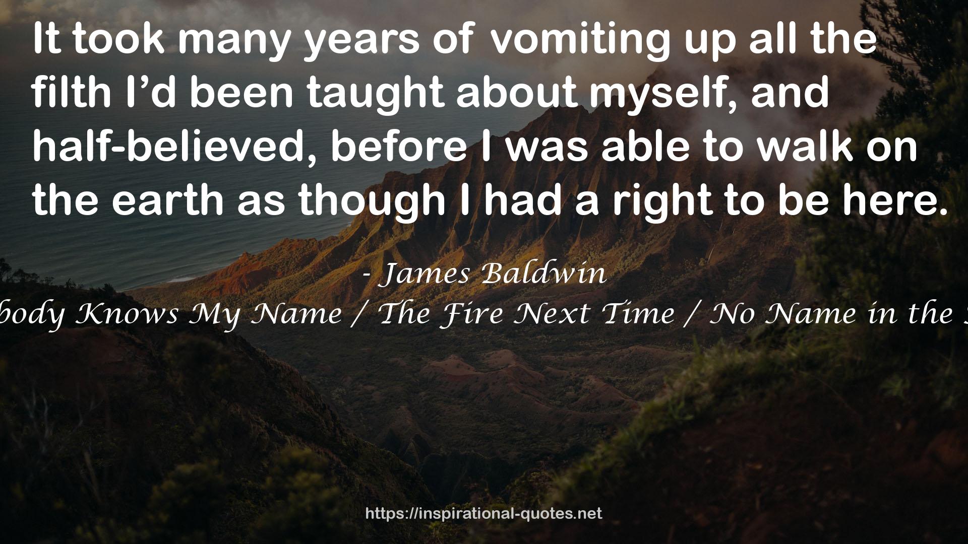 Collected Essays: Notes of a Native Son / Nobody Knows My Name / The Fire Next Time / No Name in the Street / The Devil Finds Work / Other Essays QUOTES